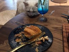 -瞄一喵猫咖(格力海岸店)