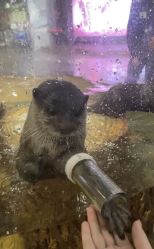 点击看大图 -Zoolung Zoolung动物主题公园(海信广场店)