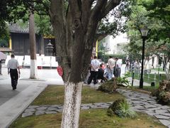 -常州古运河南大街文化旅游区-人民公园
