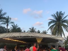 -渔家火锅·海鲜自助餐·演艺(亚龙湾天域酒店)