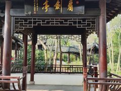 -上海佘山国家森林公园天马山园