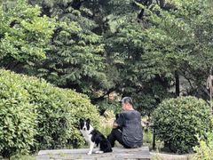 -浮山香苑