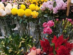 -花未央花店·WEYOUNG