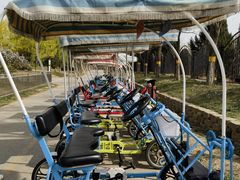 -永定河休闲森林公园