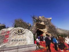 -大槐树寻根祭祖园