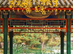 -中山公园