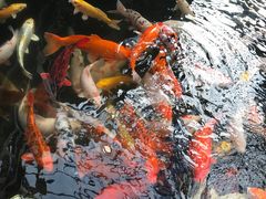-龙达温泉生态城