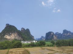 -明仕田园