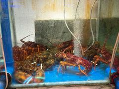 -惠食佳(滨江大公馆店)