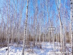 -北极村旅游风景区