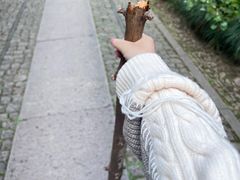 -云栖竹径