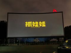 -枫花园汽车电影院(朝阳公园店)