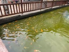 -七仙岭温泉国家森林公园