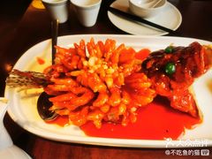 -RIVIERA 松鹤楼(外滩店)