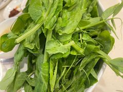 -太婆天府山珍酒楼(亚运村店)