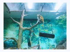 -福州罗源湾海洋世界旅游区