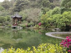 -云溪植物园
