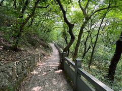 -句容茅山景区