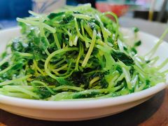 -沈记菜馆(酒仙桥路店)