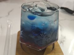 -喵园·猫主题咖啡厅·撸猫·猫咖(国贸店)