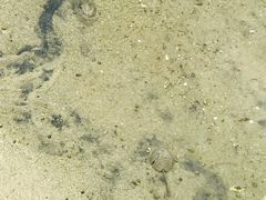 -北海金海湾红树林生态旅游区