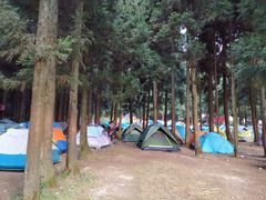 -武陵山森林公园