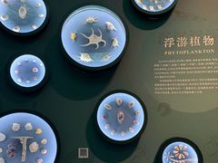 -中国湿地博物馆