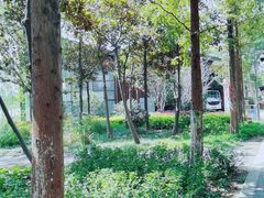 -昆山城市生态森林公园