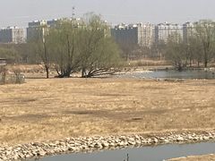 -北京麋鹿生态实验中心