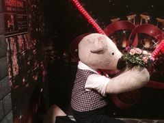 -济州岛泰迪熊博物馆