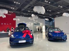 -TESLA 特斯拉(深圳观澜特斯拉直营钣喷中心)