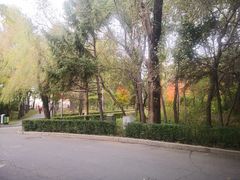 -长春市南湖公园