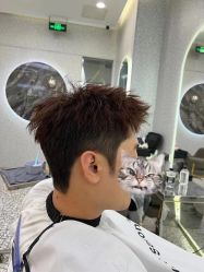 -型色沙龙 Color Salon