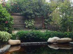 -天目湖涵田半山温泉