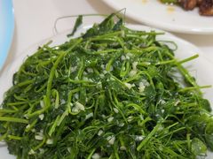 -煲来饱去冷水鱼