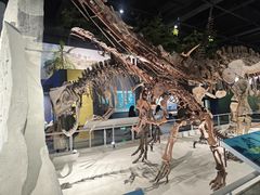 -国家自然博物馆