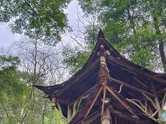 -青城山