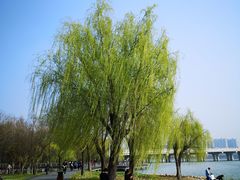 -蠡湖大桥公园