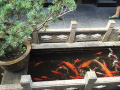 -唔呶喔哩酒家(生产街店)
