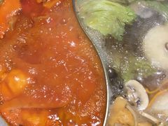 -青瓷火锅料理(西单大悦城店)