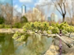 -新虹桥中心花园