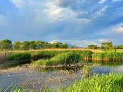 -野鸭湖国家湿地公园