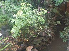 -翠湖里(翠湖南路店)