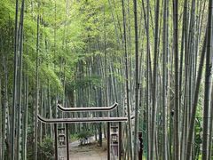 -杭州黄龙洞