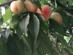 -嗨度KTV(万达店)