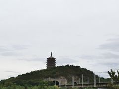 -永定河休闲森林公园