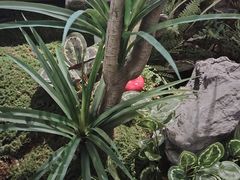 -首开·龙湖成都西宸天街