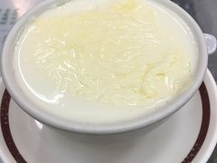 双皮奶-义顺牛奶公司(新马路老店)