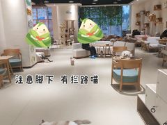-藏猫猫咖啡主题馆(中央大道店)