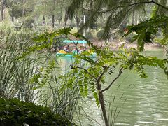 -滨湖塘西河公园